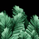 Green Banana Leaves Dream 2