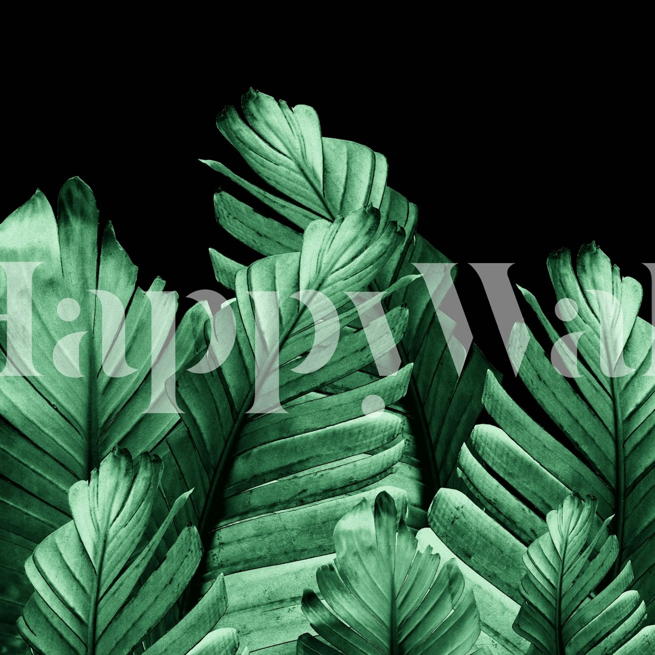 Green Banana Leaves papier peint dans une pièce