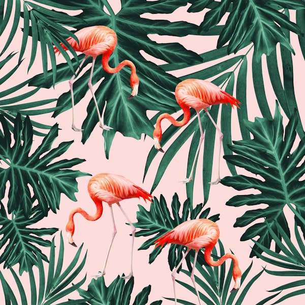 Summer Flamingo Jungle Vibes 1