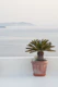 Santorini Zen Dream 1