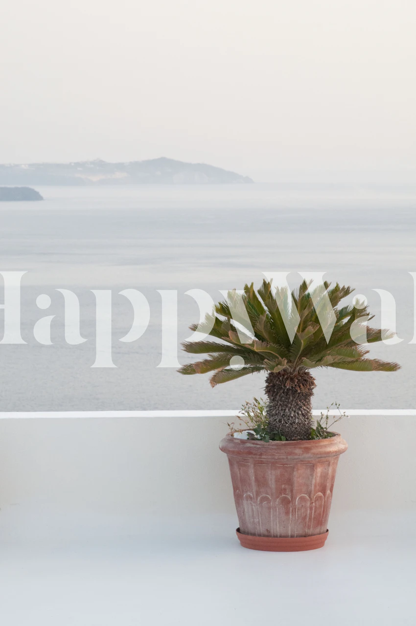 Santorini beachfront view with a potted palm, soft blue water, serene landscape wallpaper