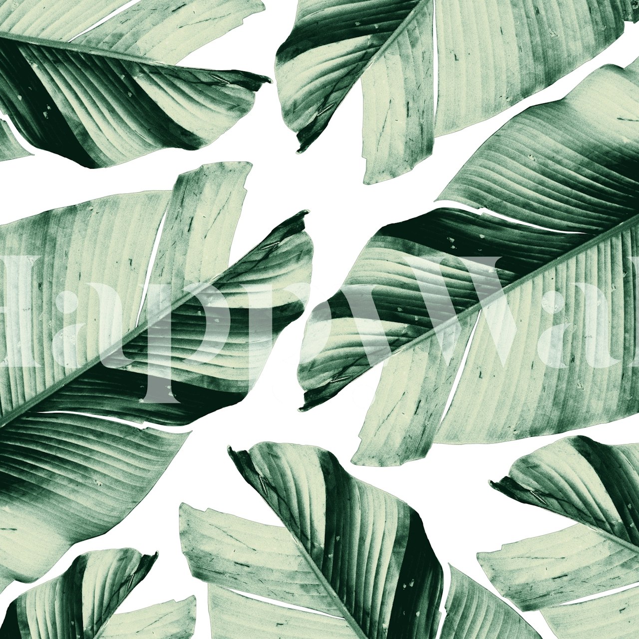 A wall mural of lush tropical banana leaves in varying shades of green.