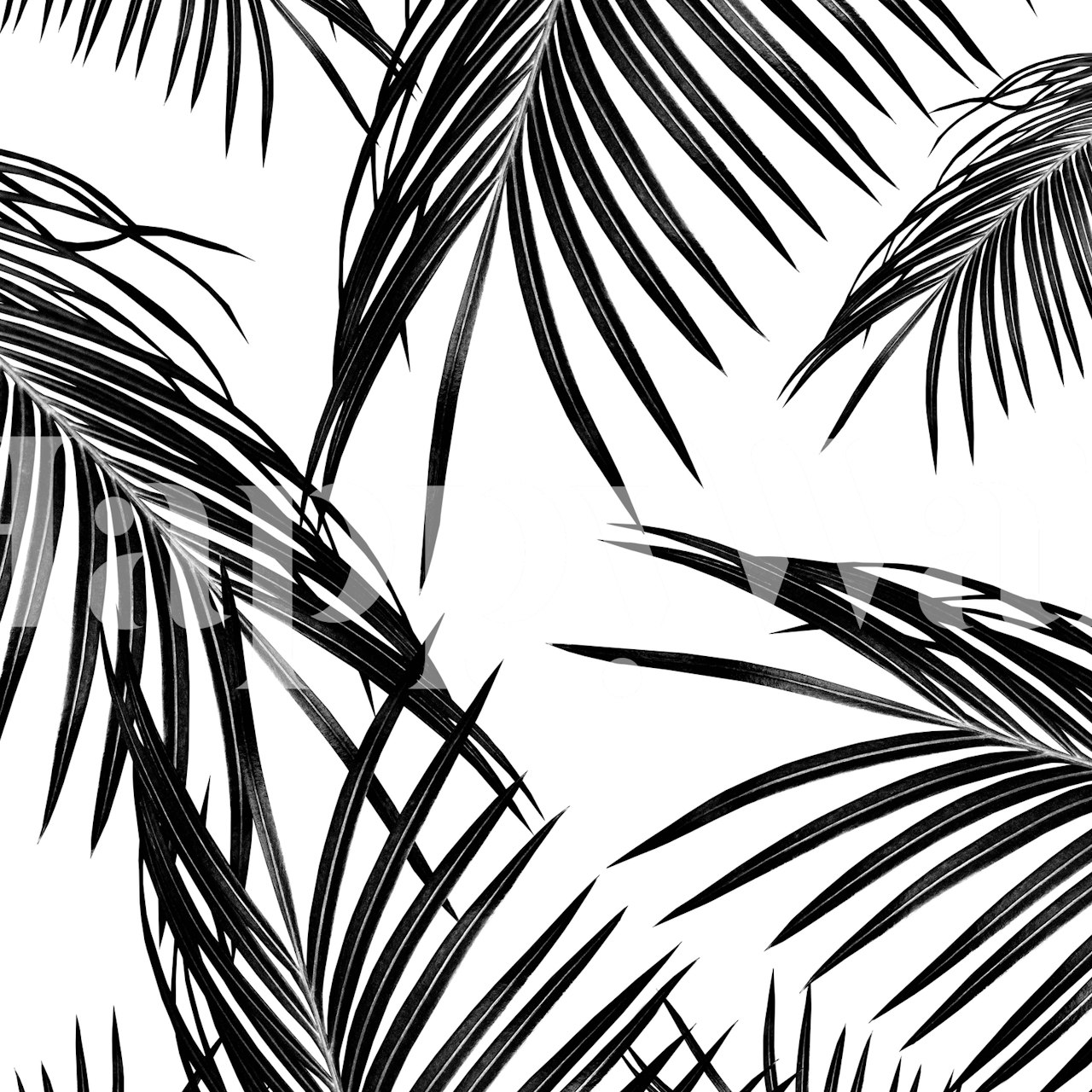 Tyylikäs musta Black Palm Leaves Dream 1-tapetti valkoisella taustalla