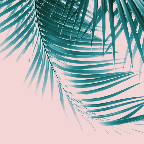 Palm Leaves Summer Vibes 1