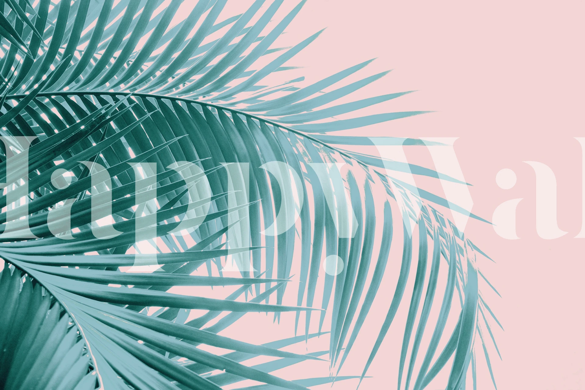 Palm leaves wallpaper on blush background