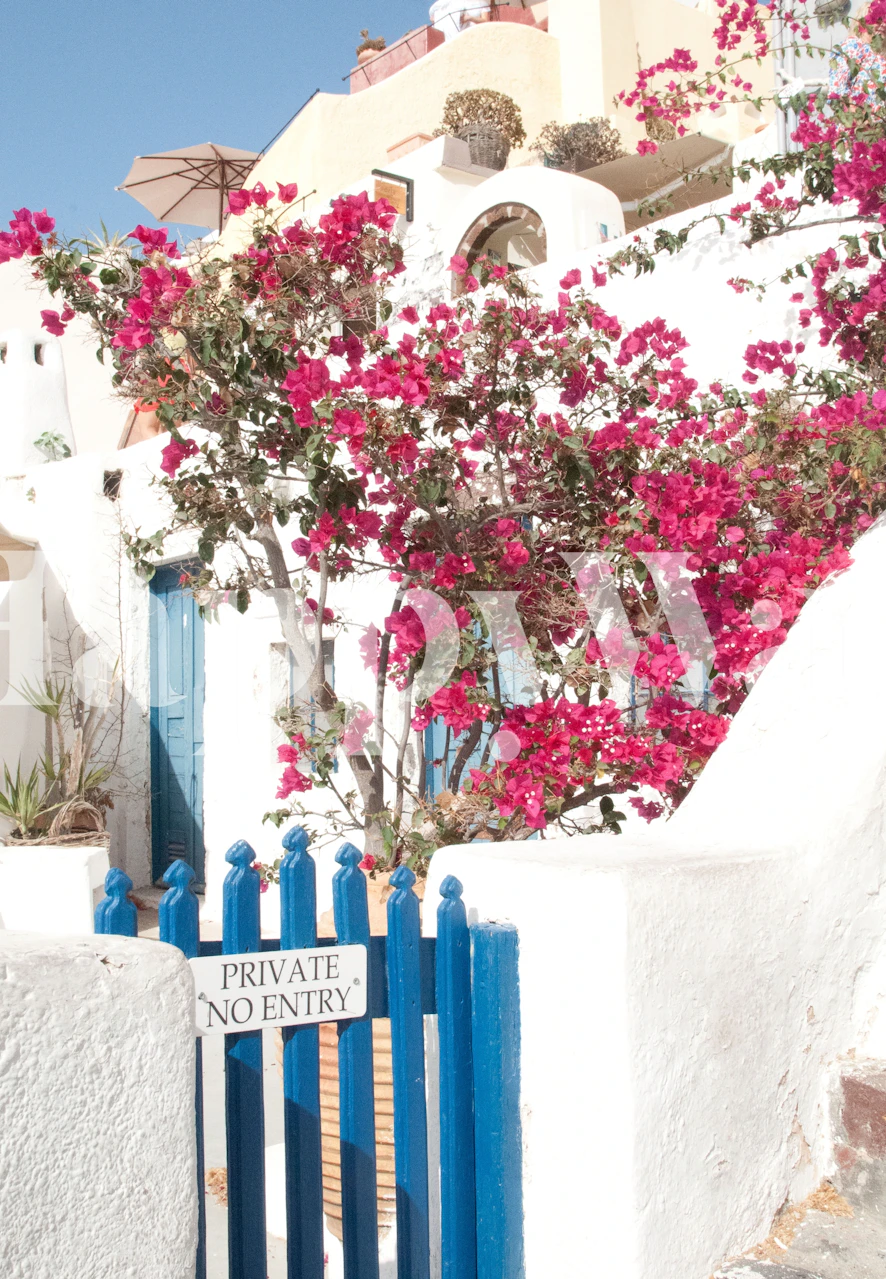 Santorini Oia Beauty Dream wallpaper in a room