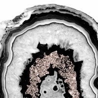 Gray BW Agate Rose Glitter tapete