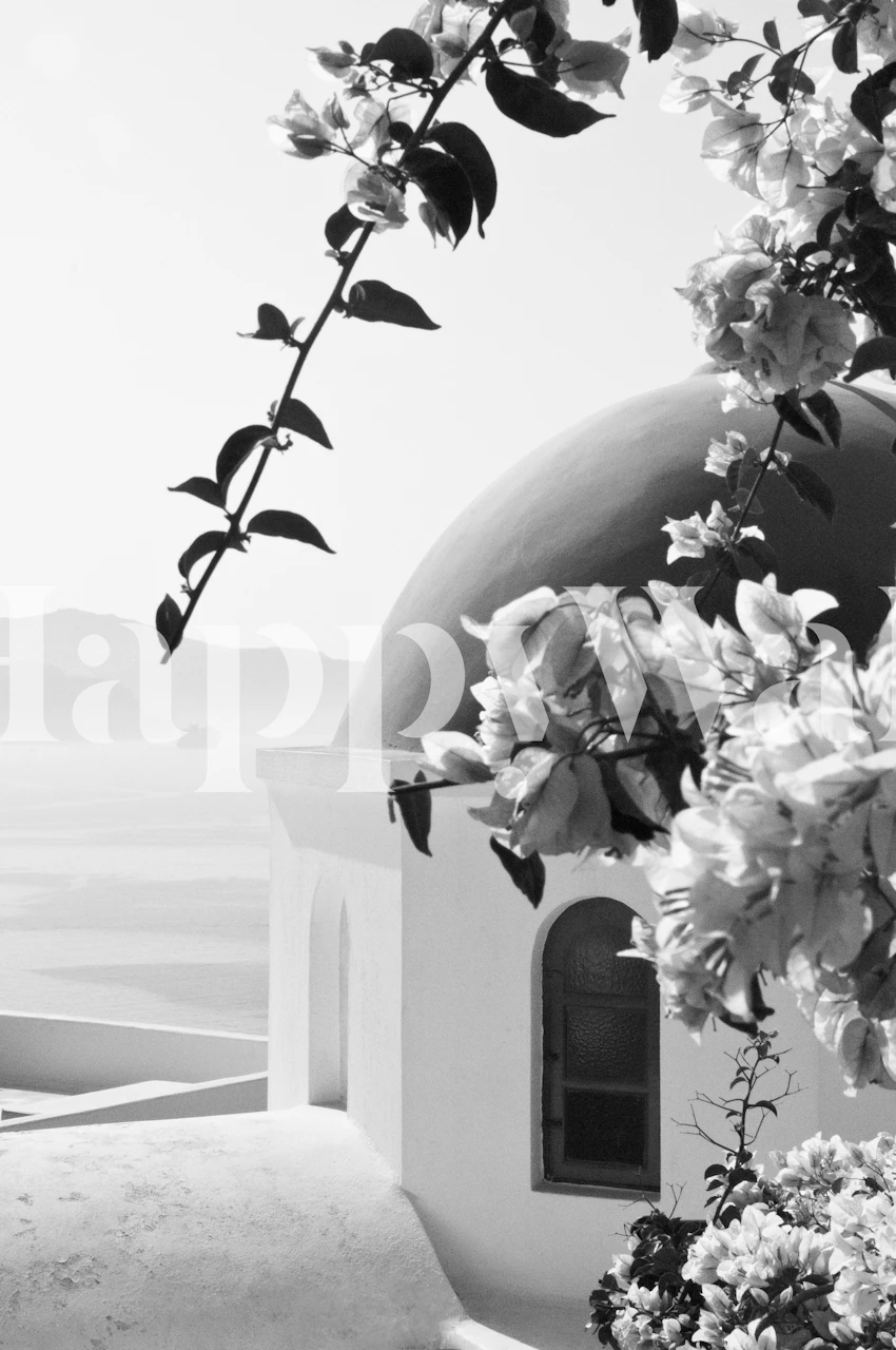Black and white floral Santorini wallpaper with dome and leaves