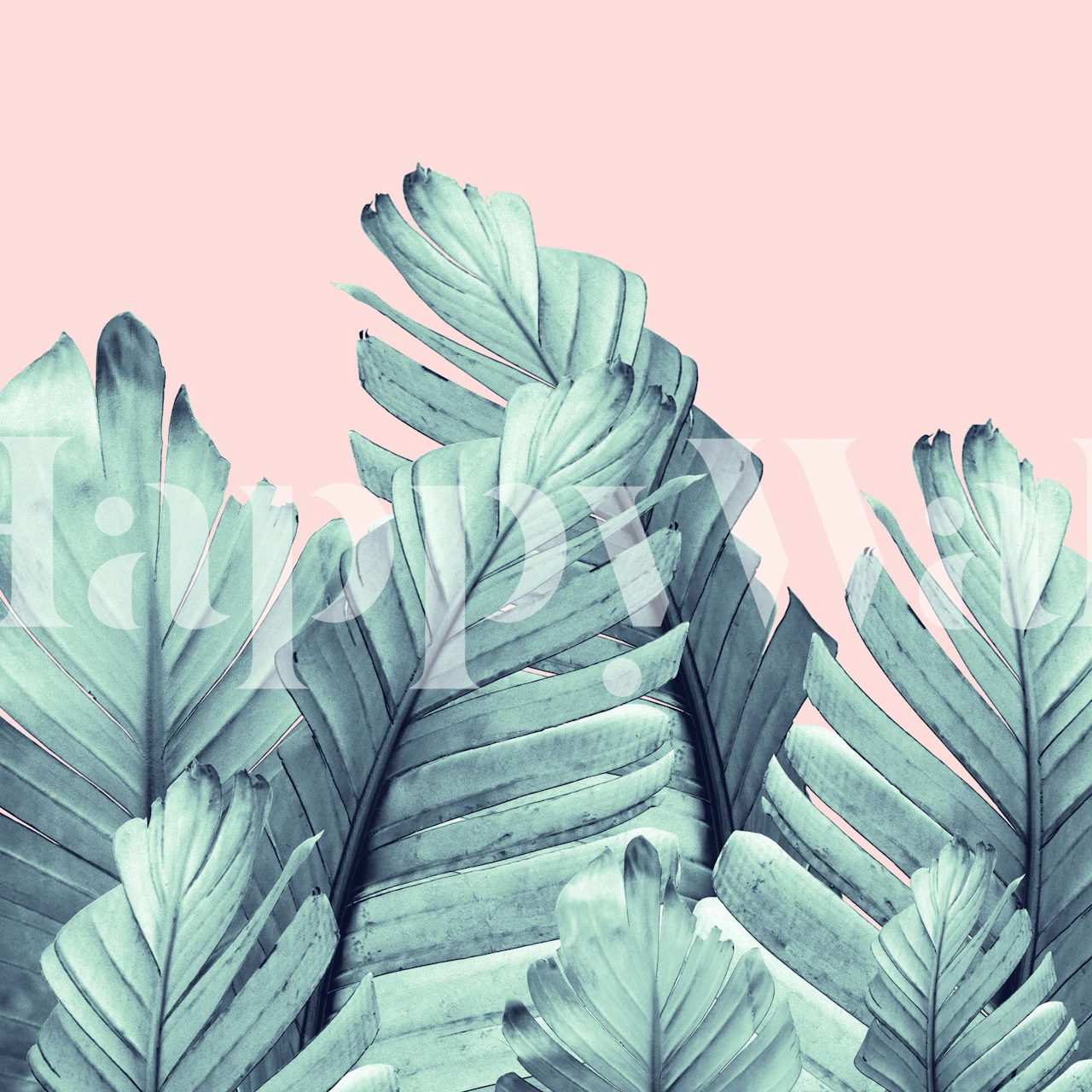 Blush Banana Leaves tapet i et rum