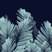 Navy Blue Banana Leaves 1 ταπετσαρία