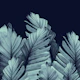 Navy Blue Banana Leaves 1