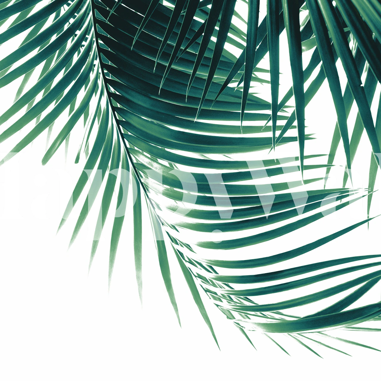 Palm leaves wallpaper in a room