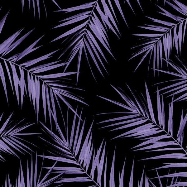 Palm Leaves Cali Finesse 5