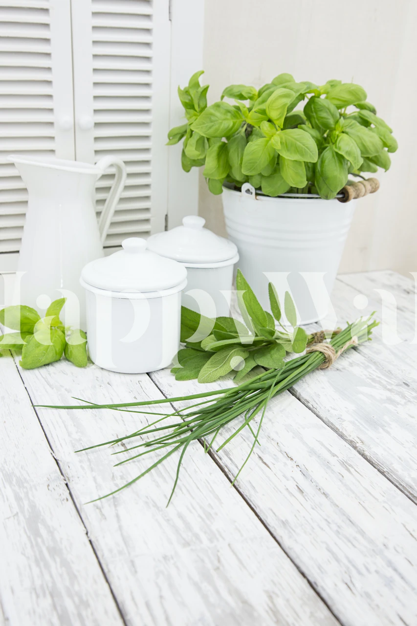 Green herbs, white containers, rustic wood background wallpaper