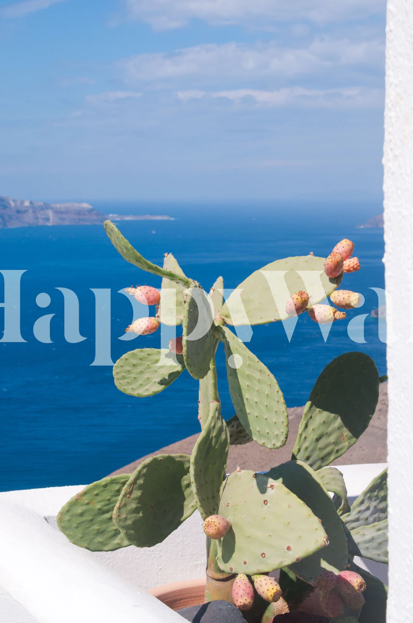 Cacti with green pads and pink flowers against blue ocean wallpaper