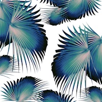 Fan Palm Leaves Paradise 1 wallpaper