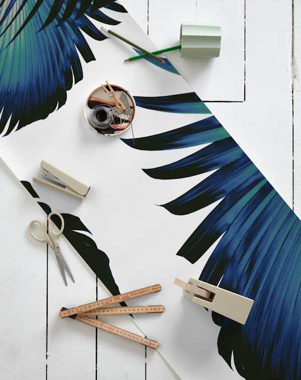 Fan Palm Leaves Paradise 1 wallpaper roll