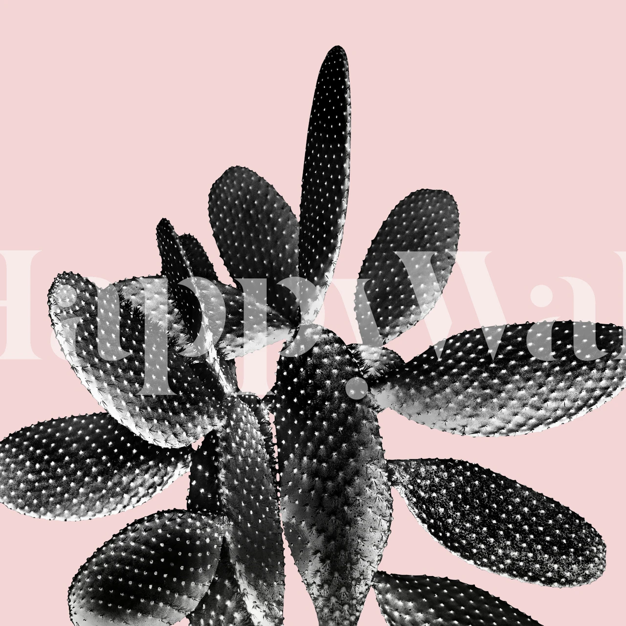 Black cactus leaves on a blush background wallpaper