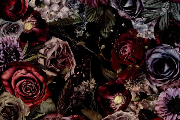 Baroque Vintage Night Garden