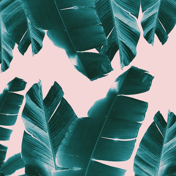 Banana Leaves Tropical Vibes 1