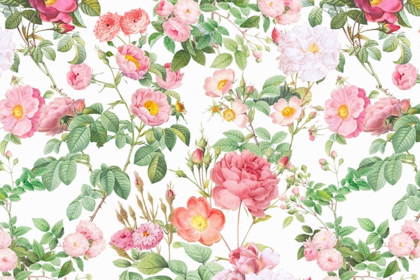 Redouté Roses Garden