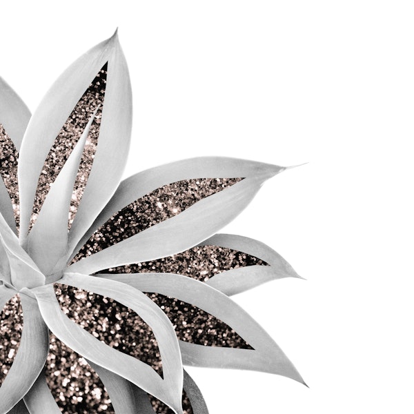 Agave Finesse Glitter Glam 1