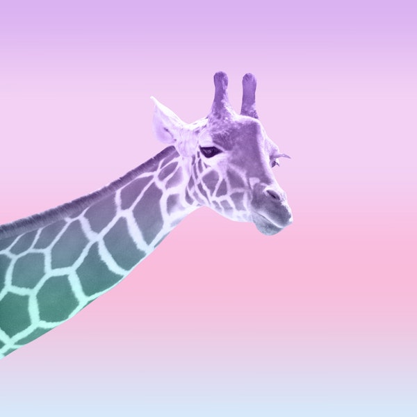 Unicorn Mermaid Giraffe 1