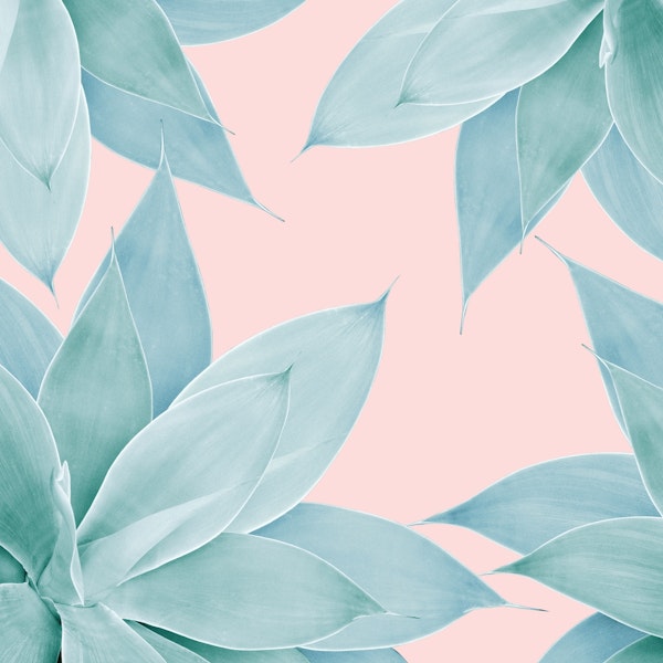 Agave Flower Dream 1