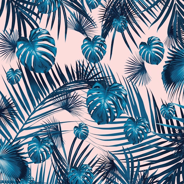 Tropical Jungle Garden 1