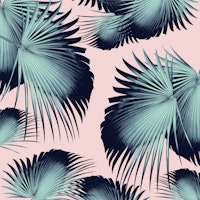 Fan Palm Leaves 8 wallpaper