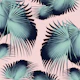 Fan Palm Leaves 8
