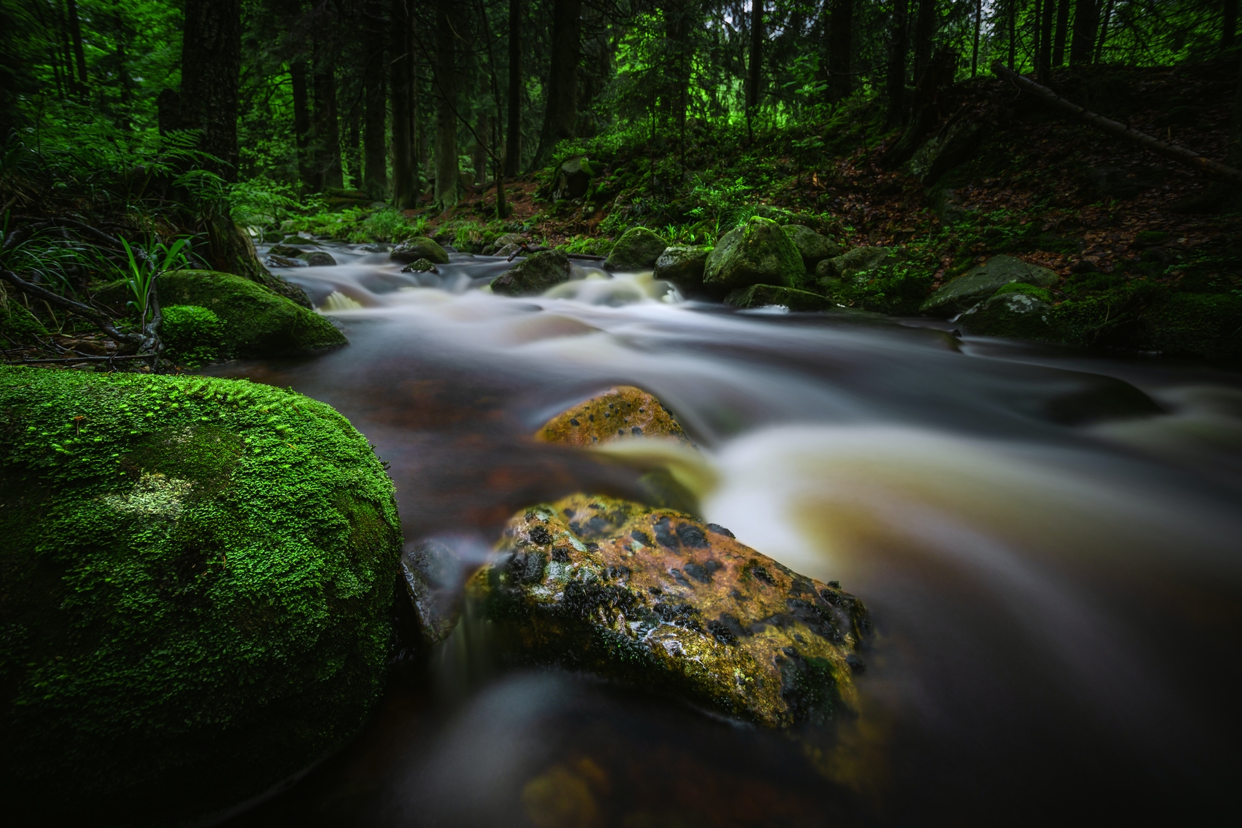 Harz Mountain wallpaper | Happywall