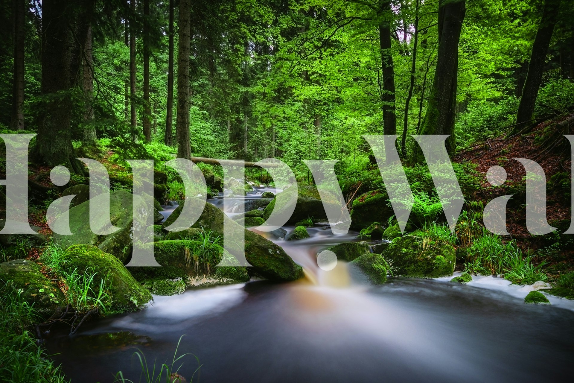 Rolig skovstrøm med frodige grønne vægmalerier