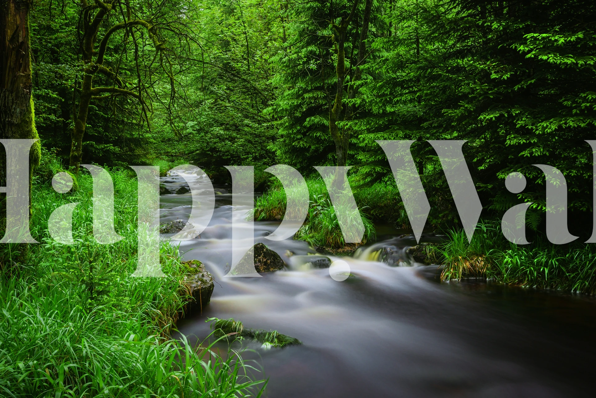 Magic Water tapetti huoneessa