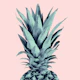 Blush Pineapple Dream 1