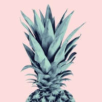 Blush Pineapple Dream 1 tapet