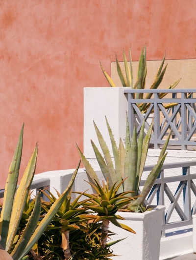 Mural