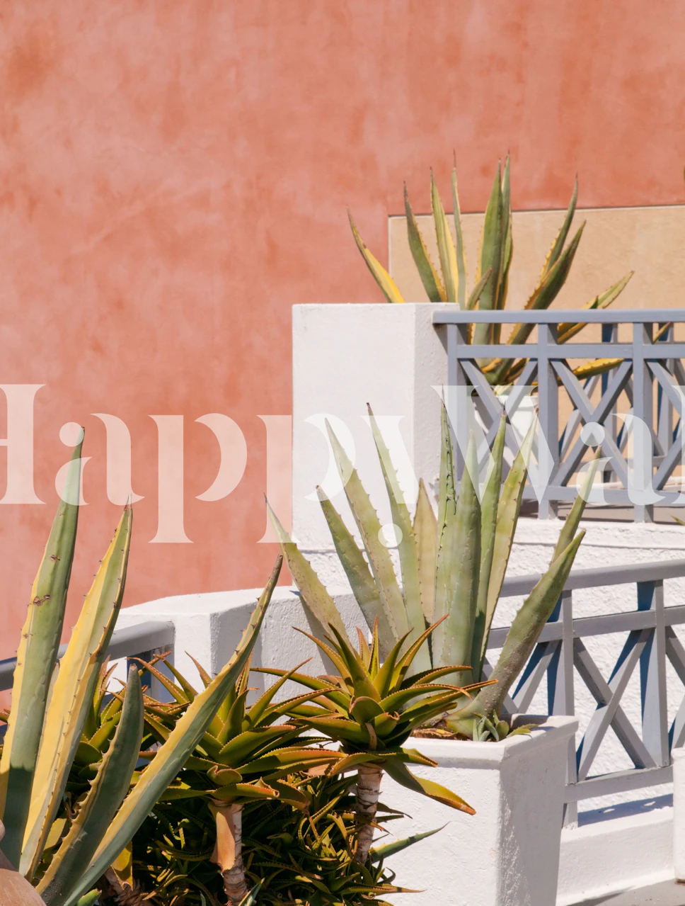 Agave plants with sandy pink background wallpaper