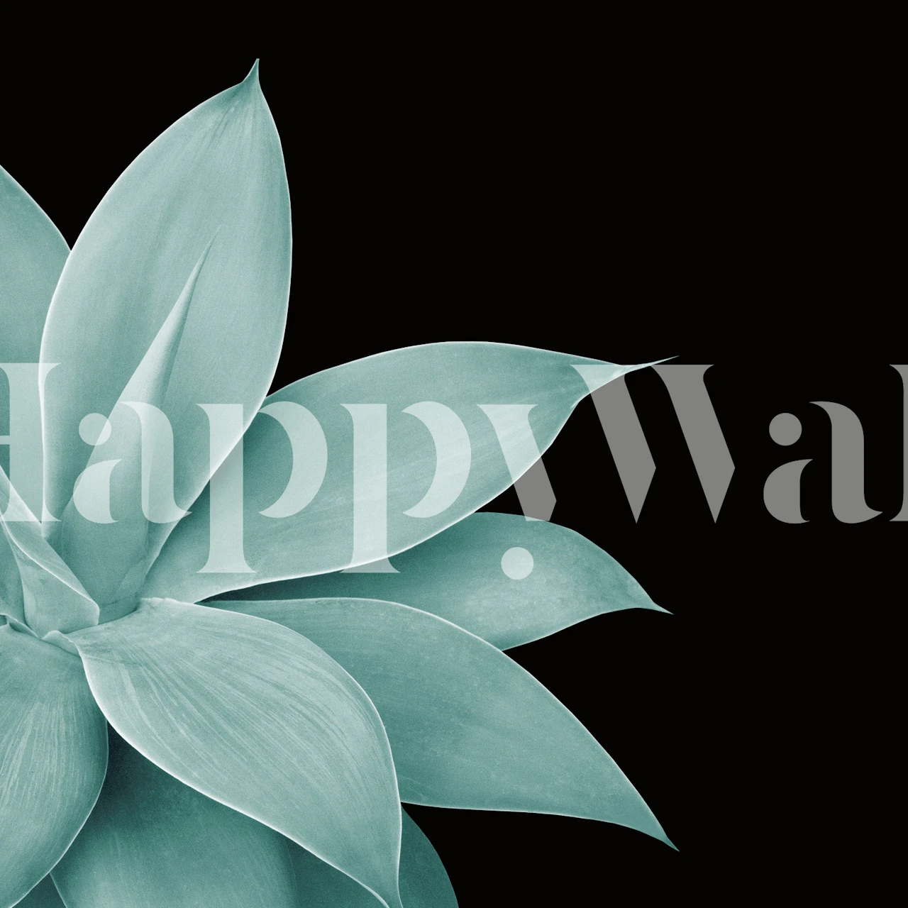 Teal agave leaves on black background wallpaper