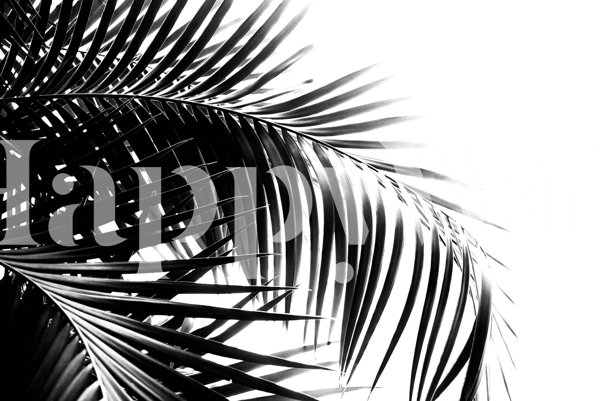 Palm leaves wallpaper in a modern setting
