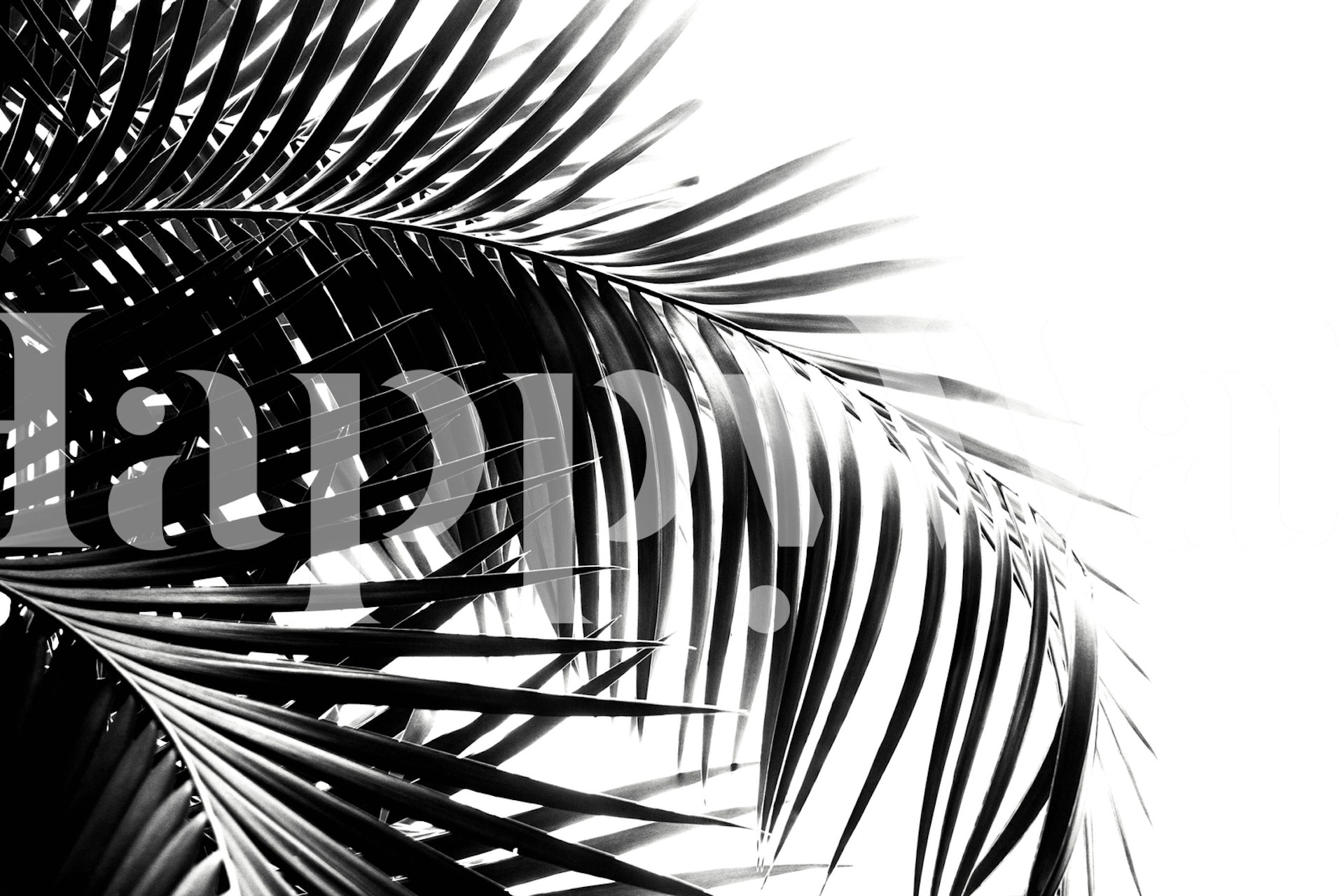 Palm leaves wallpaper in a modern setting
