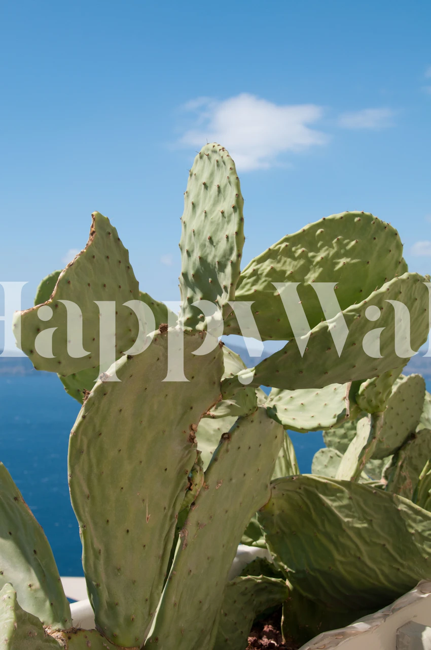 Cacti wallpaper design in a bright setting