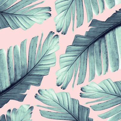 Τοιχογραφία