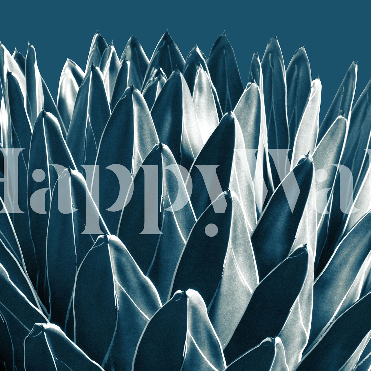 Agave Chic 5 wallpaper in a room