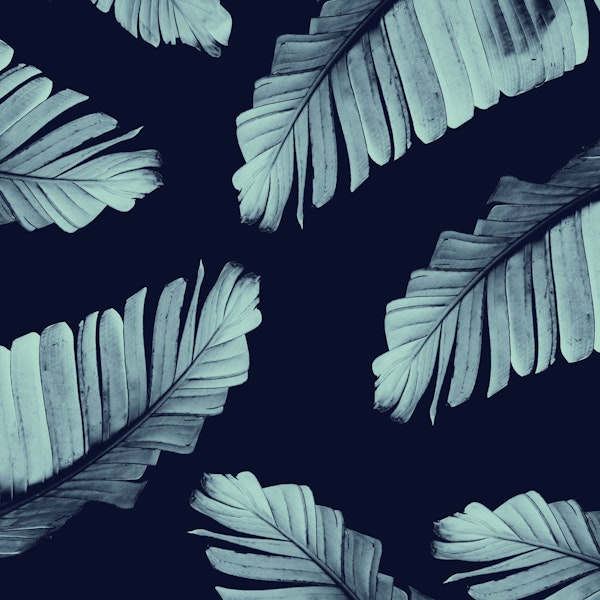 Navy Blue Banana Leaves 2
