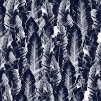 Navy Blue Vibes 1 tapet