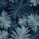 Philo Hope Tropical Jungle 5