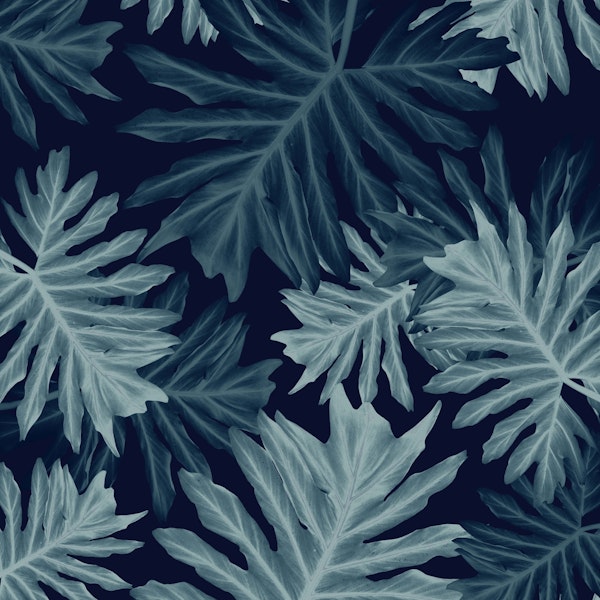 Philo Hope Tropical Jungle 5