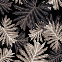 Philo Hope Tropical Jungle 4 carta da parati