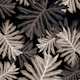 Philo Hope Tropical Jungle 4